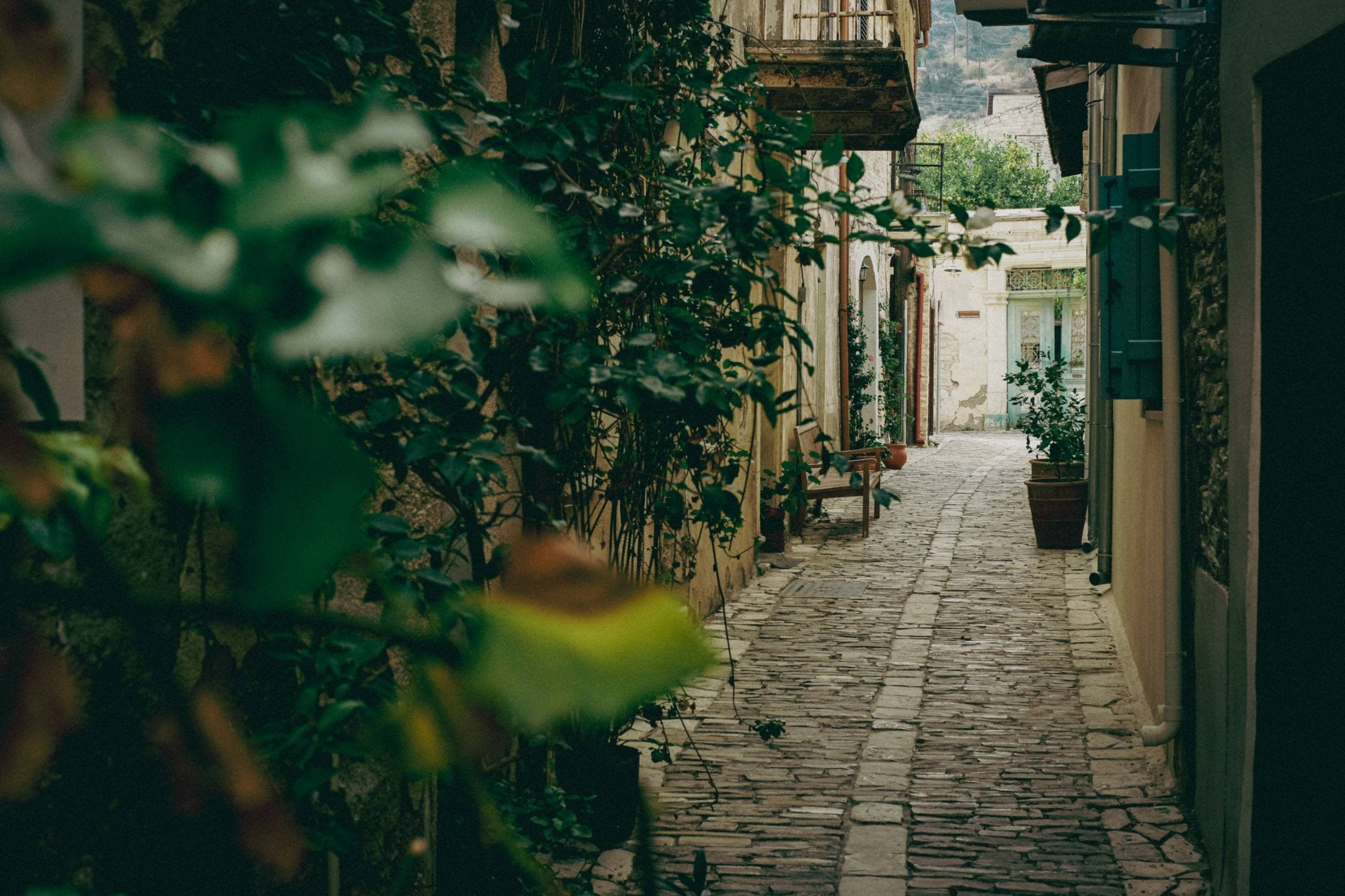Gasse mit Kopfsteinpflaster und Grün im Dorf Lefkara